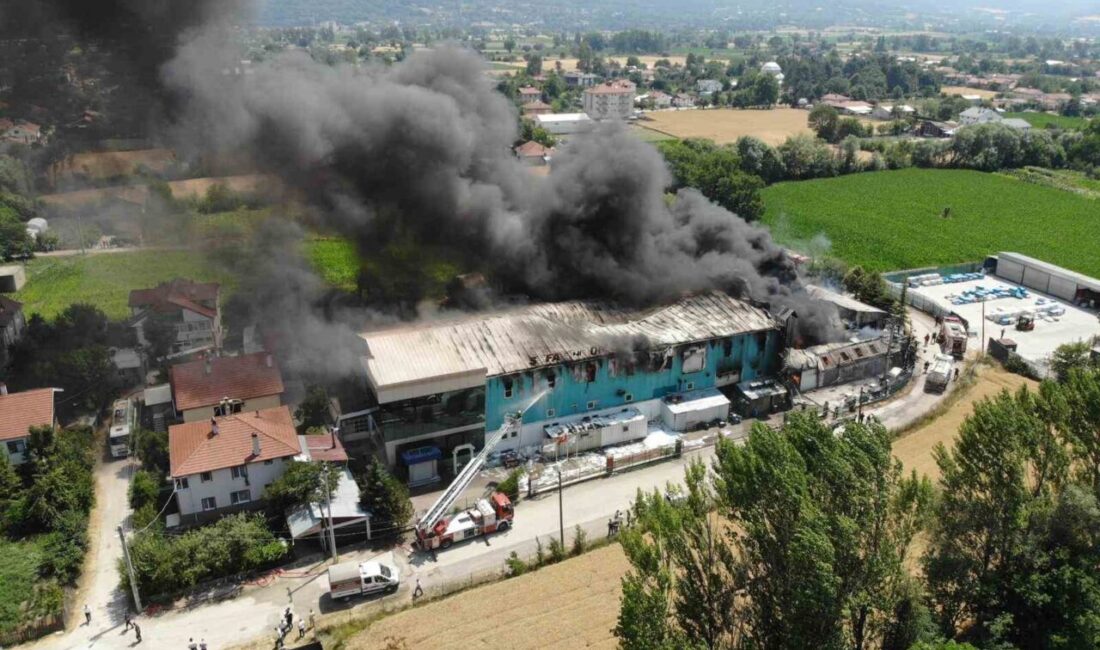 Bolu’da medikal ürünler üreten fabrikada çıkan ve çevredeki evleri de