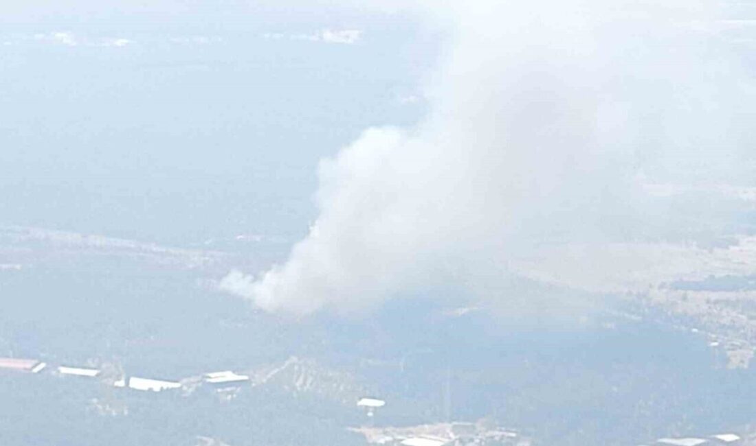 İzmir’in Bornova ilçesinde ormanlık alanda çıkan yangına havadan ve karadan