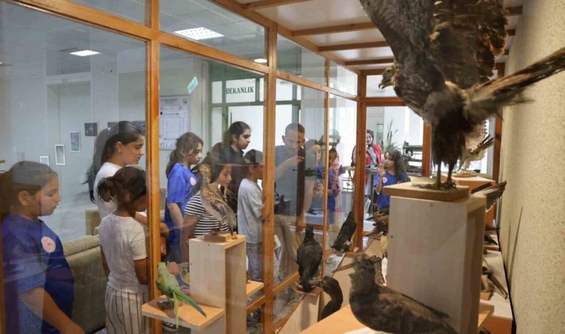 Düzce Gençlik ve Spor İl Müdürlüğüne Gençlik Merkezi Yaz Kulübü