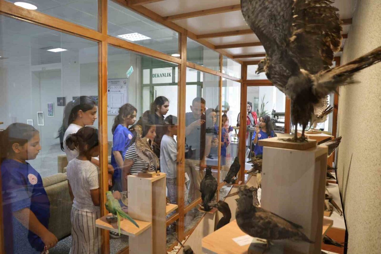 Düzce Gençlik ve Spor İl Müdürlüğüne Gençlik Merkezi Yaz Kulübü