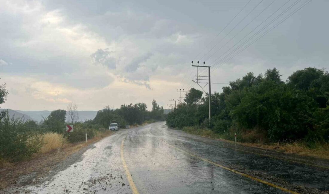 Aydın’ın Bozdoğan ilçesinde kısa süreli sağanak yağış vatandaşları serinletti. Meteorolojinin