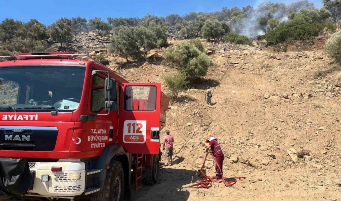 Aydın’ın Bozdoğan ilçesinde zirai alanda çıkan yangın ekiplerin hızlı müdahalesi