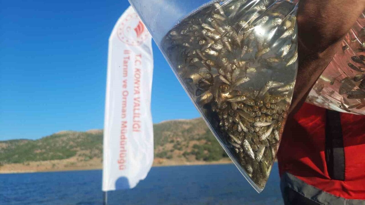 Tarım ve Orman Bakanlığı, Balıkçılık ve Su Ürünleri Genel Müdürlüğü