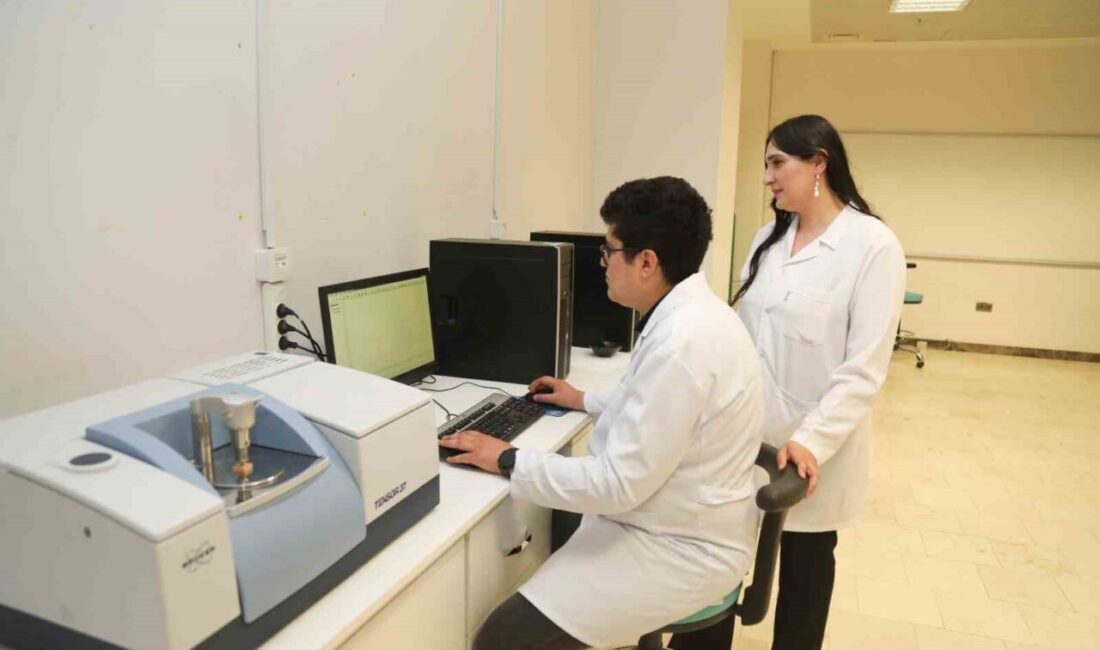 Bursa Teknik Üniversitesinde yürütülen projeyle, kavak ve ladin gibi odun