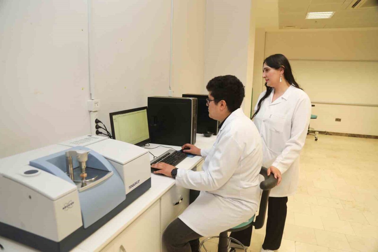 Bursa Teknik Üniversitesinde yürütülen projeyle, kavak ve ladin gibi odun