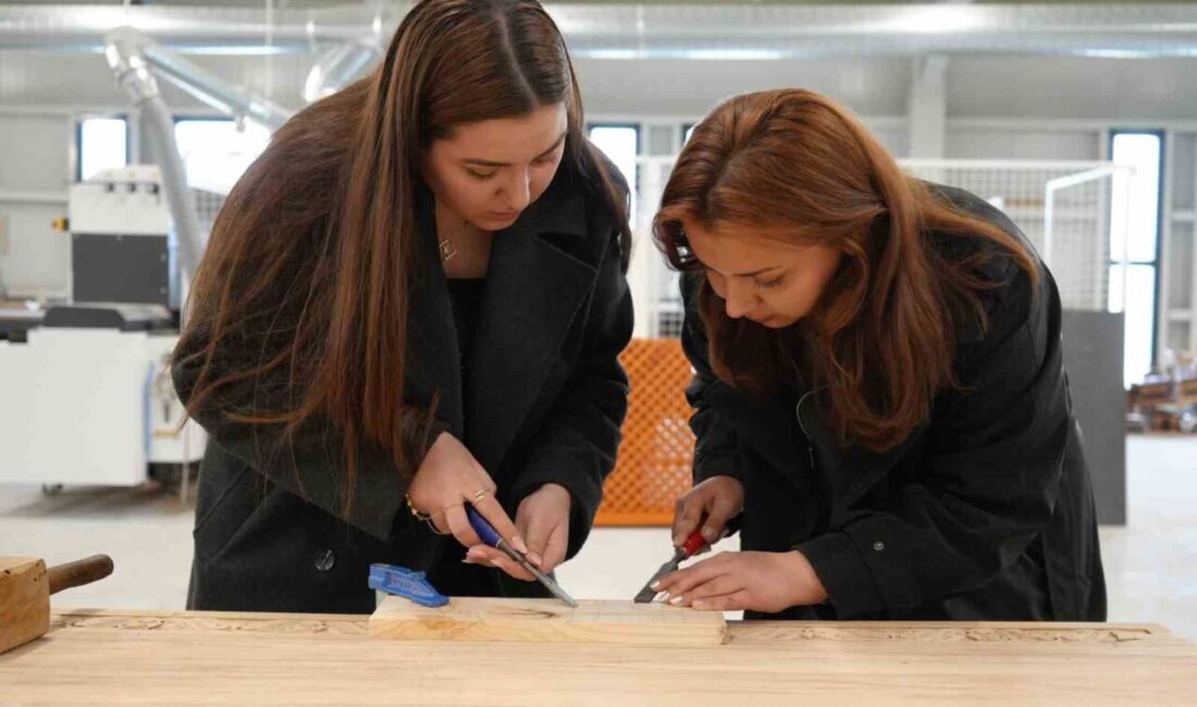 Kastamonu Üniversitesi bünyesinde faaliyet gösteren ve teorik olarak görülen derslerin