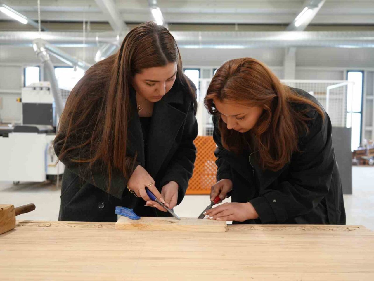 Kastamonu Üniversitesi bünyesinde faaliyet gösteren ve teorik olarak görülen derslerin