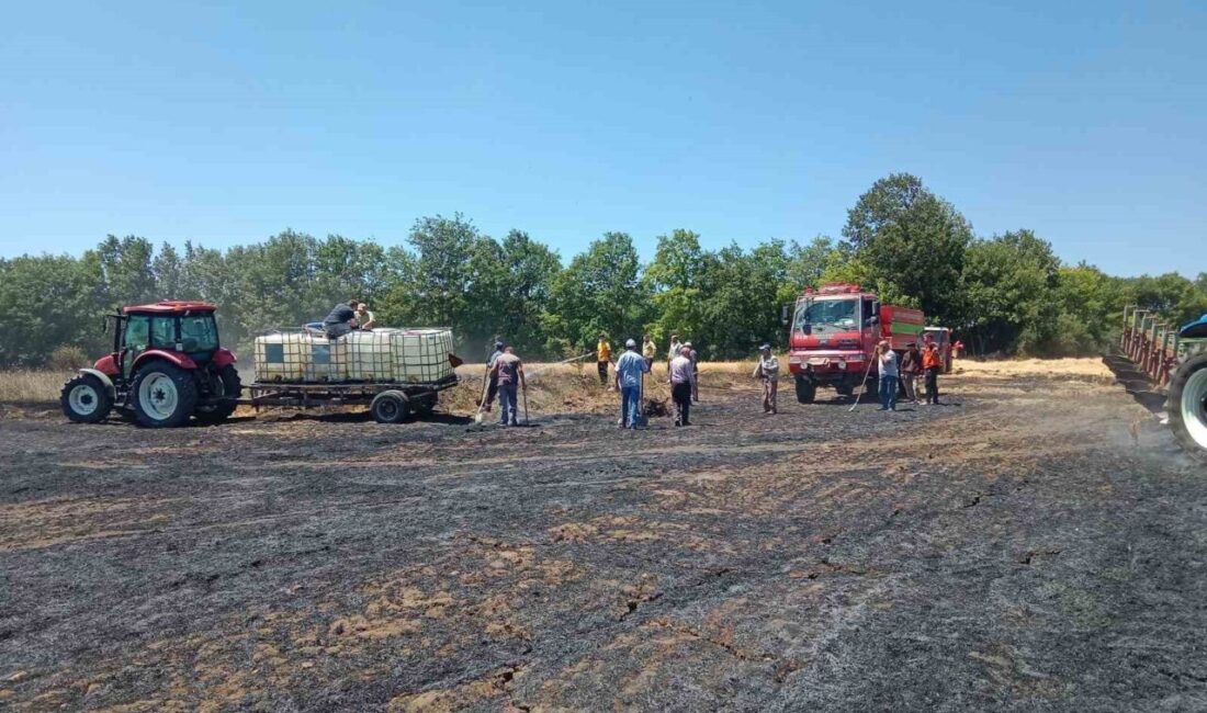 Bilecik’in Bozüyük ilçesine bağlı Karaağaç köyünde çıkan yangında yaklaşık 10