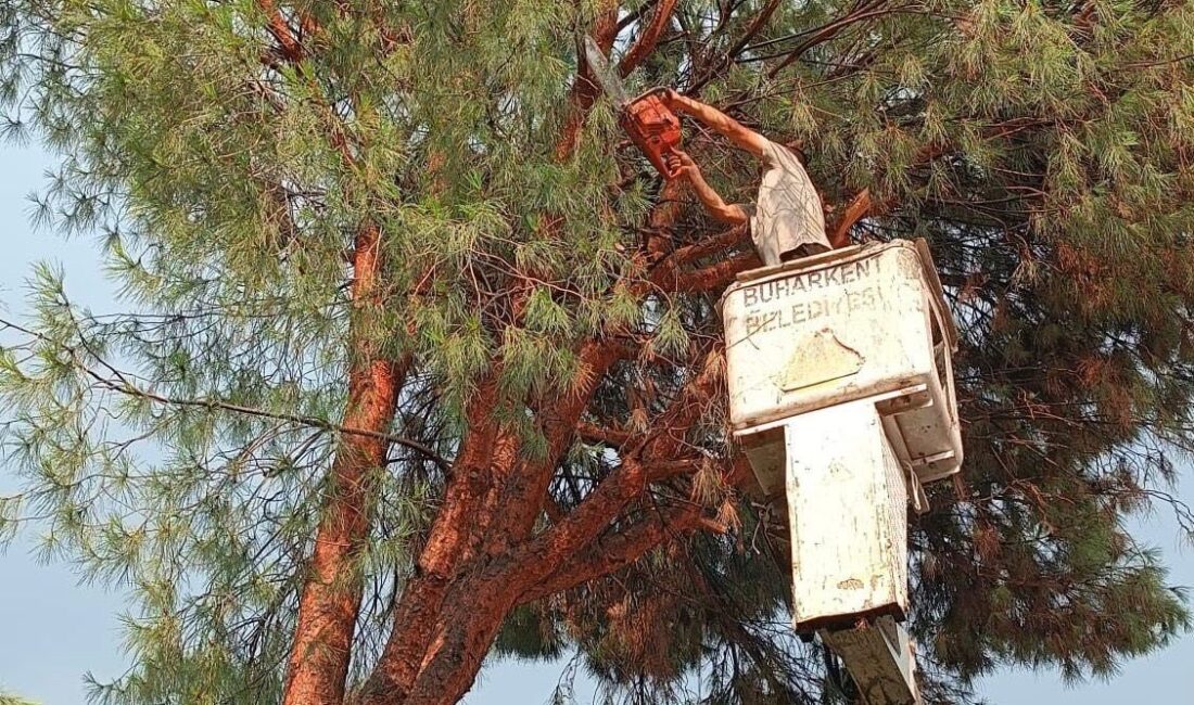 Aydın’ın Buharkent ilçesinde etkili olan dolu yağışı ve şiddetli rüzgar