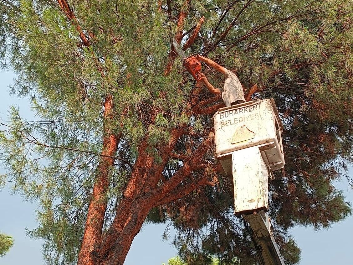 Aydın’ın Buharkent ilçesinde etkili olan dolu yağışı ve şiddetli rüzgar