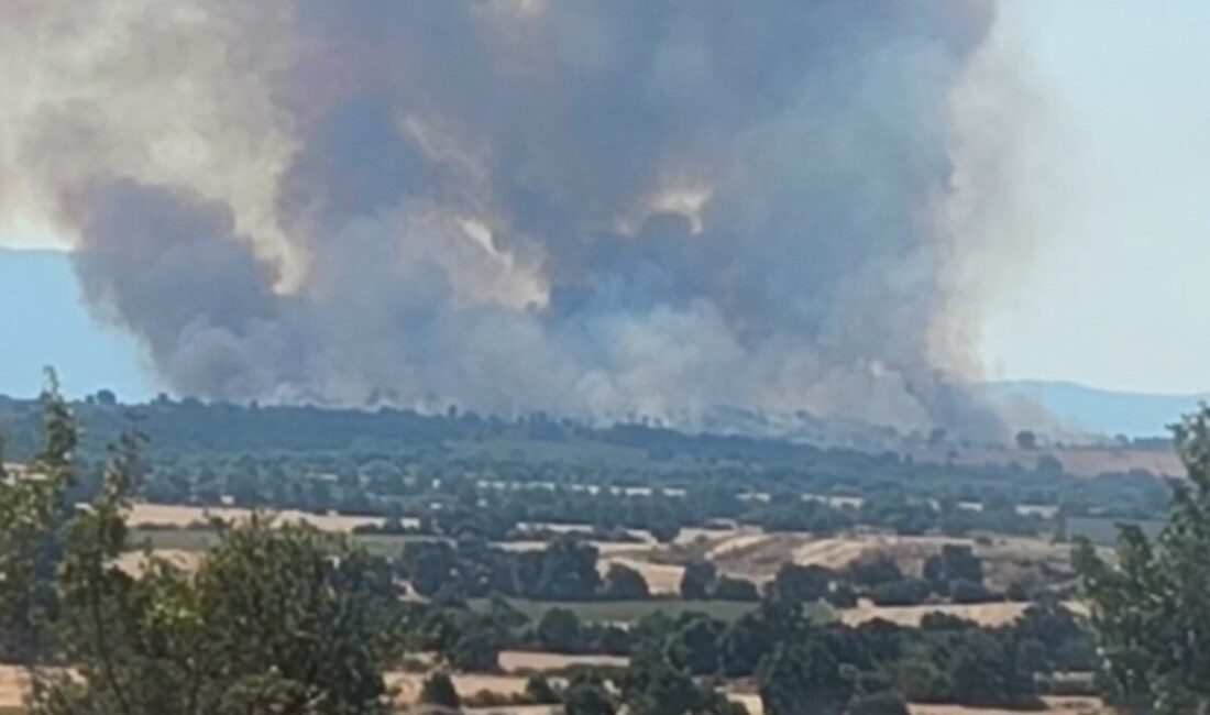 Bulgaristan’ın Lesova Sınır Kapısı yakınlarında başlayan orman yangını, rüzgarın etkisiyle