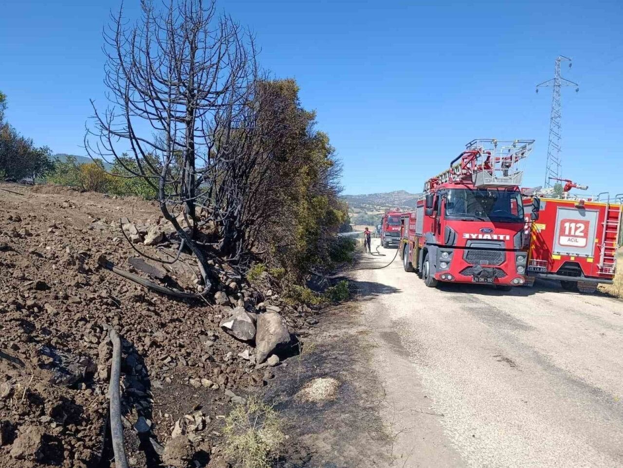 Burdur merkeze bağlı Örencik köyü Akçeşme mevkiinde çıkan yangında, ceviz