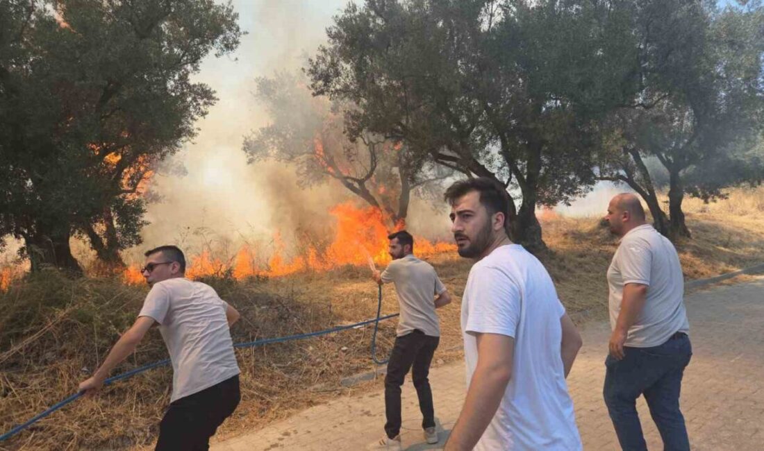 Bursa’nın Orhangazi ilçesinde bir zeytinlikte çıkan yangın paniğe sebep oldu.
