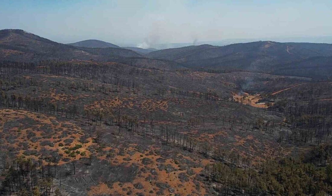 Bursa’nın Harmancık ilçesinde çıkan yangın sürüyor. Gece gündüz demeden müdahalede