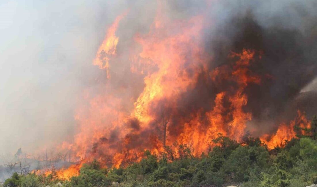 Bursa’nın Harmancık ilçesi Meyran Rampası mevkisinde orman yangını yeniden etkili