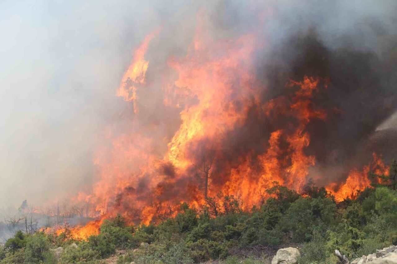 Bursa’nın Harmancık ilçesi Meyran Rampası mevkisinde orman yangını yeniden etkili