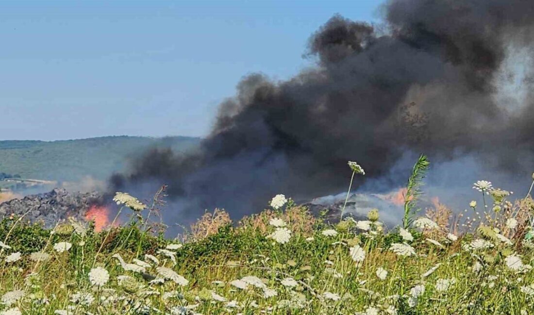 Bursa’da Mustafakemalpaşa ilçesinde bir besi çiftliğinde çıkan yangın 3 bölgeye