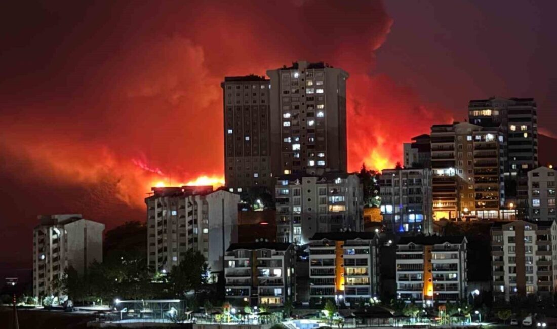 Kestel ile Gürsu ilçeleri arasındaki ormanlık alanda başlayan yangın, gece