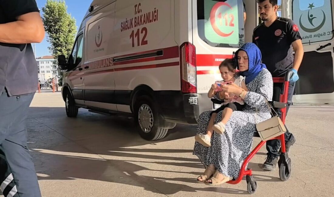 Bursa’nın İnegöl ilçesinde meydana gelen kazada hafif ticari araç ile