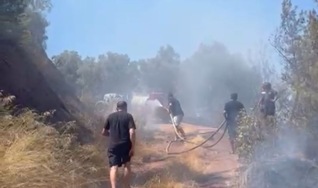 Bursa’nın Gemlik ilçesi Kurşunlu Mahallesi’nde dün öğle saatlerinde ormanlık alanda