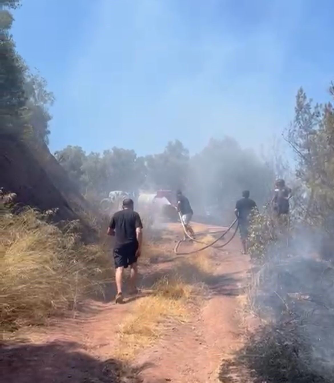 Bursa’nın Gemlik ilçesi Kurşunlu Mahallesi’nde dün öğle saatlerinde ormanlık alanda