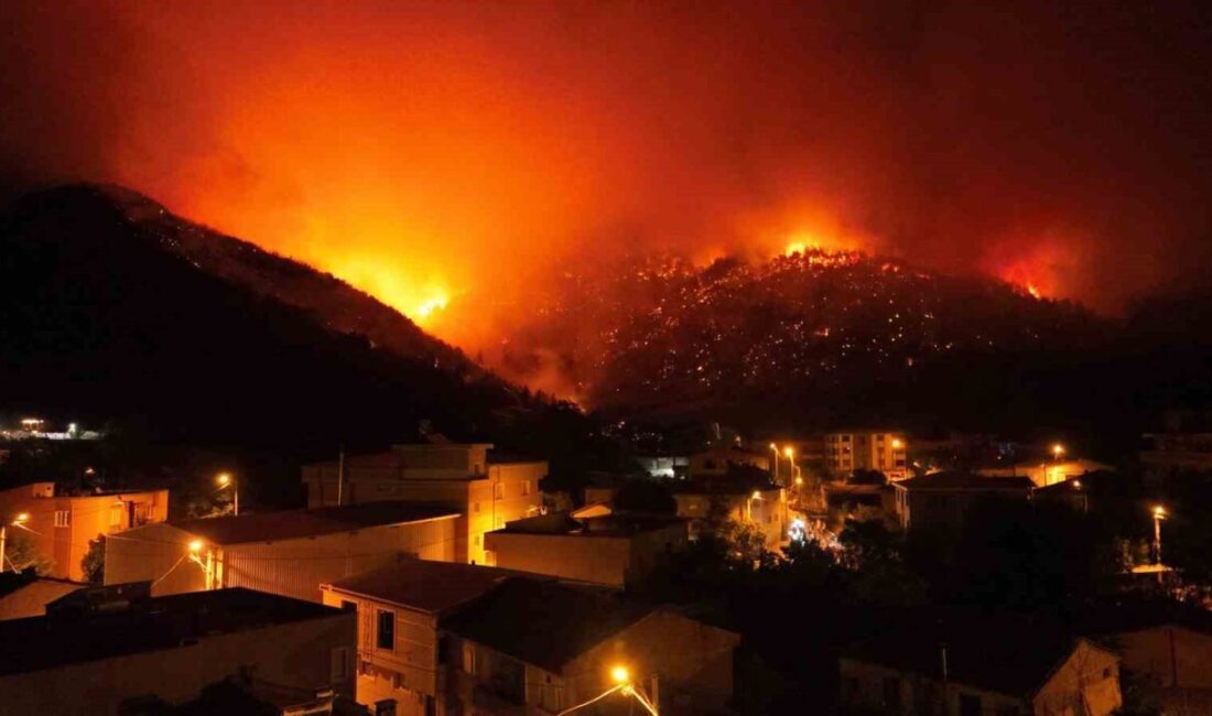 Bursa’da Gürsu ve Kestel ilçeleri arasında başlayan orman yangını Osmangazi