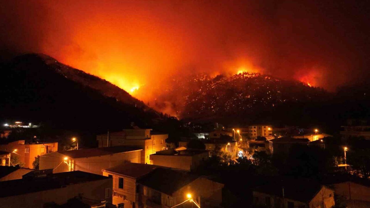 Bursa’da Gürsu ve Kestel ilçeleri arasında başlayan orman yangını Osmangazi