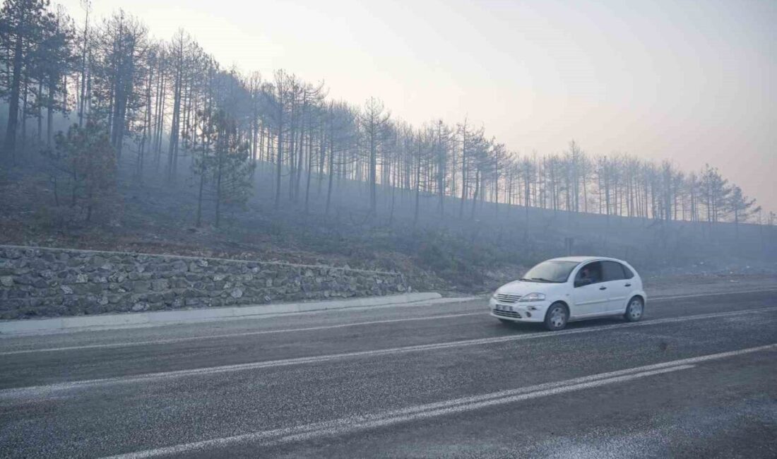 Bursa’nın Orhaneli ile Harmancık ilçeleri arasında 3 gündür süren orman