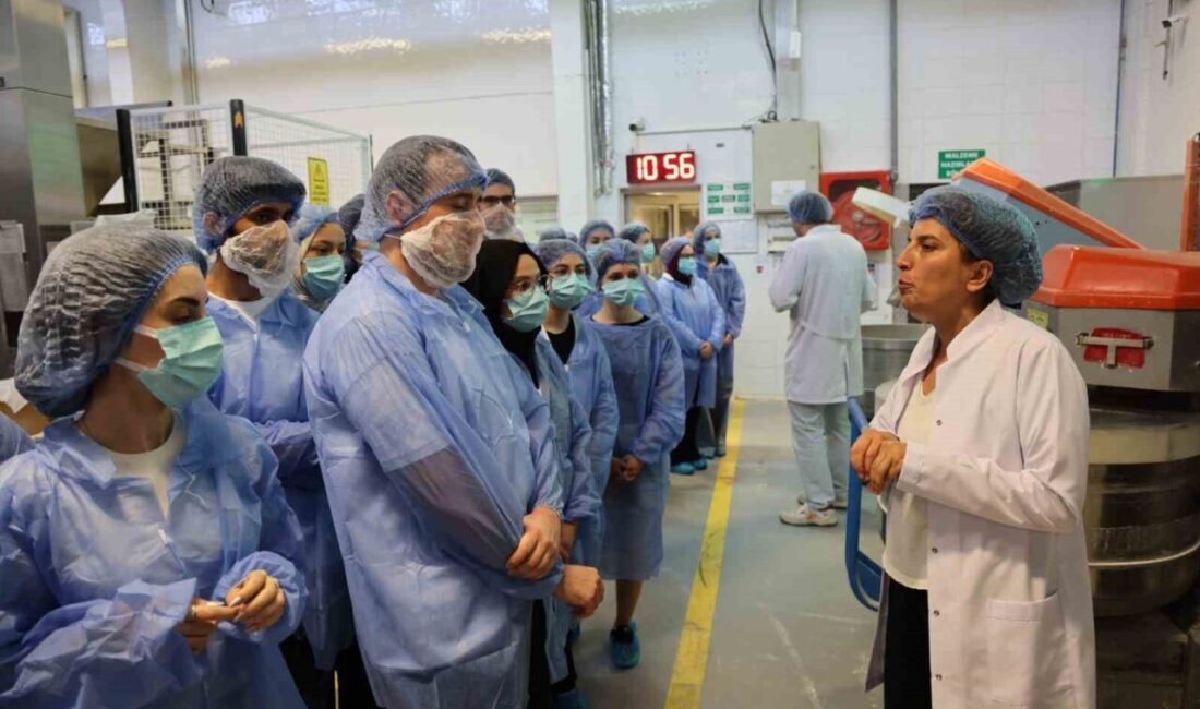 Bursa Büyükşehir Belediyesi Gençlik Kulübü üyesi gençler, ‘Gülümseyen Gençlik’ programı