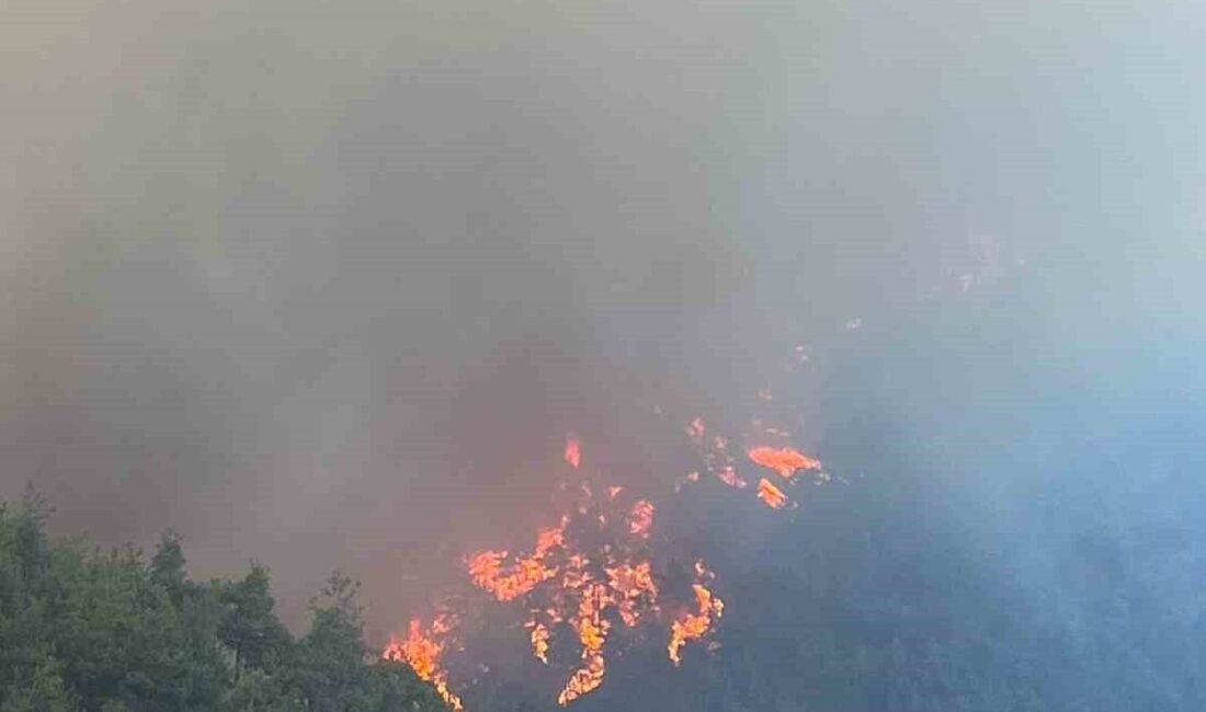 Bursa’da akşam saatlerinde lodos ile birlikte iki ayrı ilçede orman