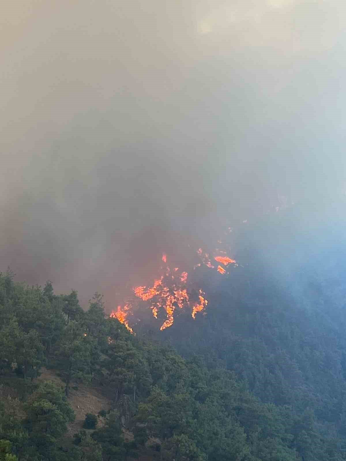 Bursa’da akşam saatlerinde lodos ile birlikte iki ayrı ilçede orman