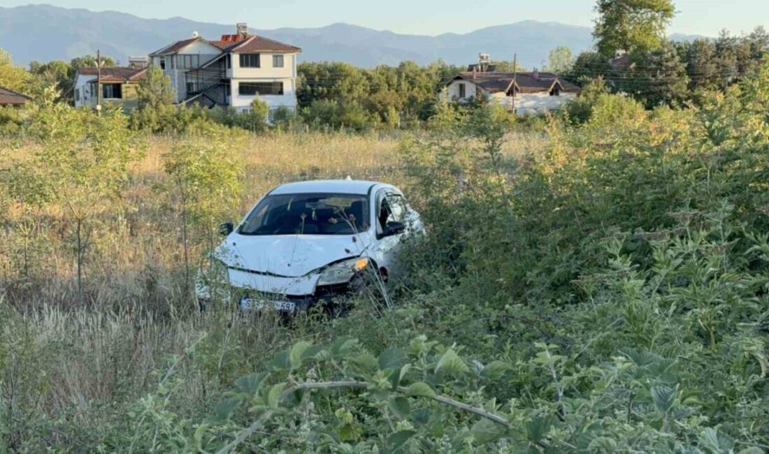 Düzce’de sürücünün yol üzerindeki büyükbaş hayvana çarpmamak için manevra yaptığı