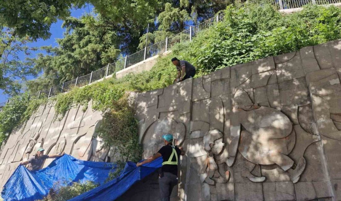 Bursa Büyükşehir Belediyesi, Bursalı usta karikatürist Cemal Nadir Güler’in anısını