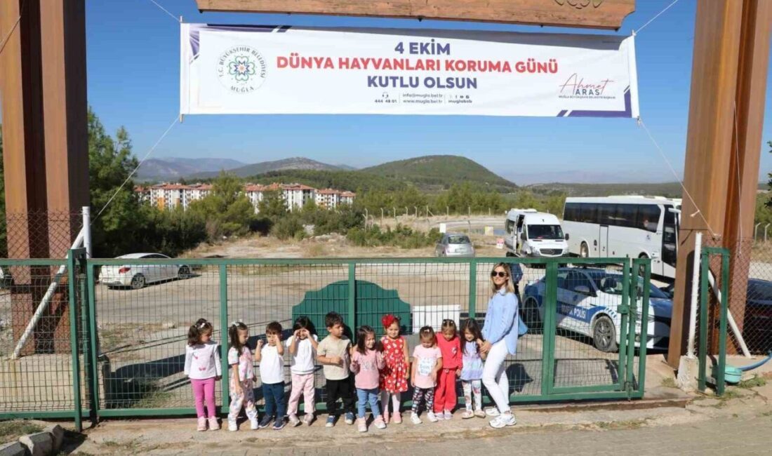 Muğla Büyükşehir Belediyesi Geçici Bakımevi, 3 bin 779 sahipsiz hayvanı