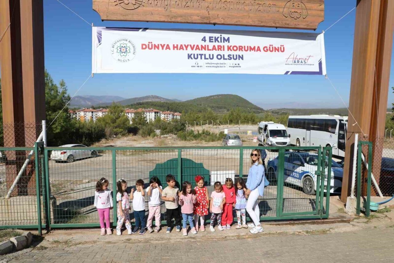 Muğla Büyükşehir Belediyesi Geçici Bakımevi, 3 bin 779 sahipsiz hayvanı