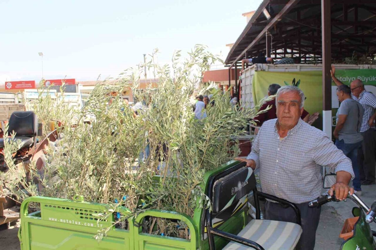 Antalya Büyükşehir Belediyesi, 40 bin zeytin fidanını 19 ilçede 2