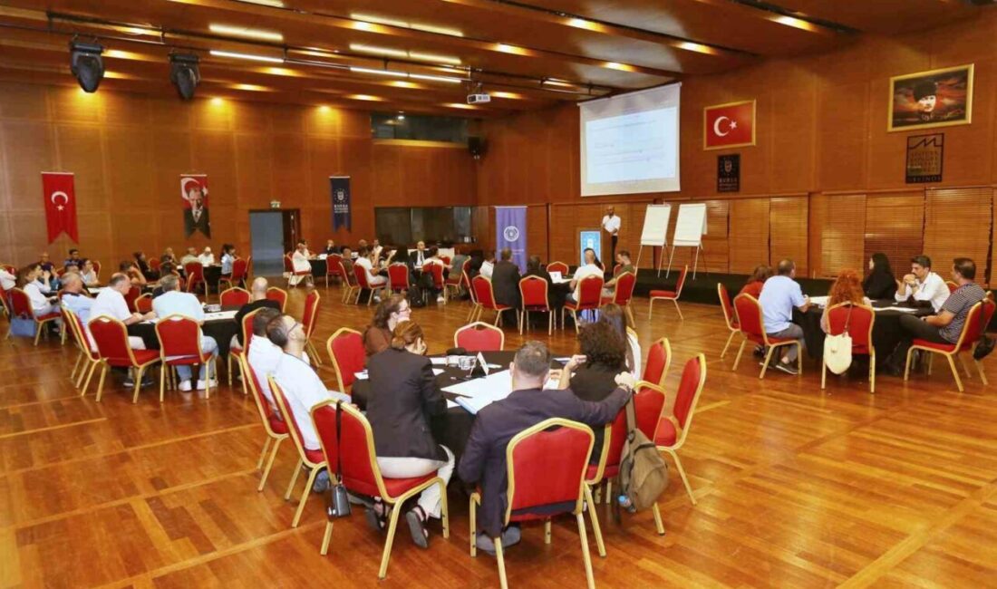 Bursa Büyükşehir Belediyesi, bulvar, cadde, meydan ve park gibi alanlarda