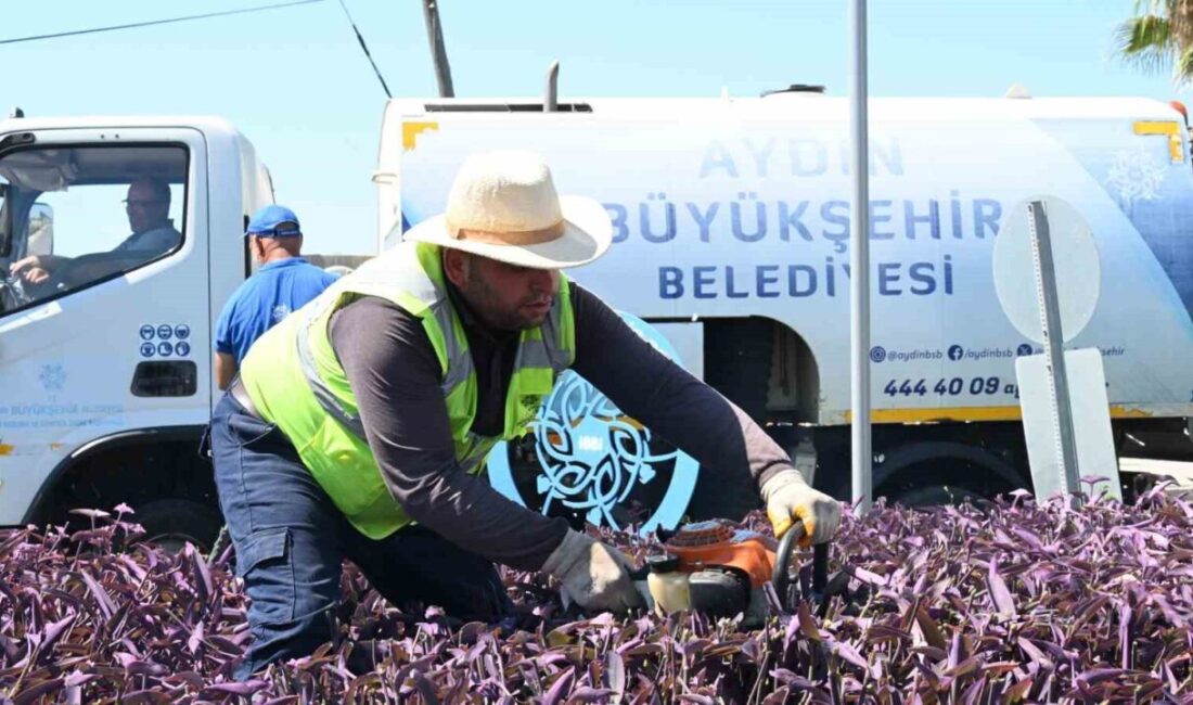 Aydın Büyükşehir Belediyesi, turizmin incisi Didim’de çalışmalarına hız kesmeden devam