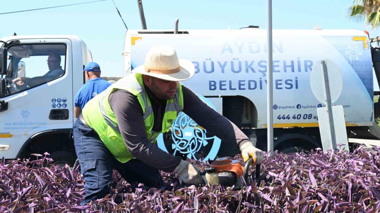 Aydın Büyükşehir Belediyesi, turizmin incisi Didim’de çalışmalarına hız kesmeden devam