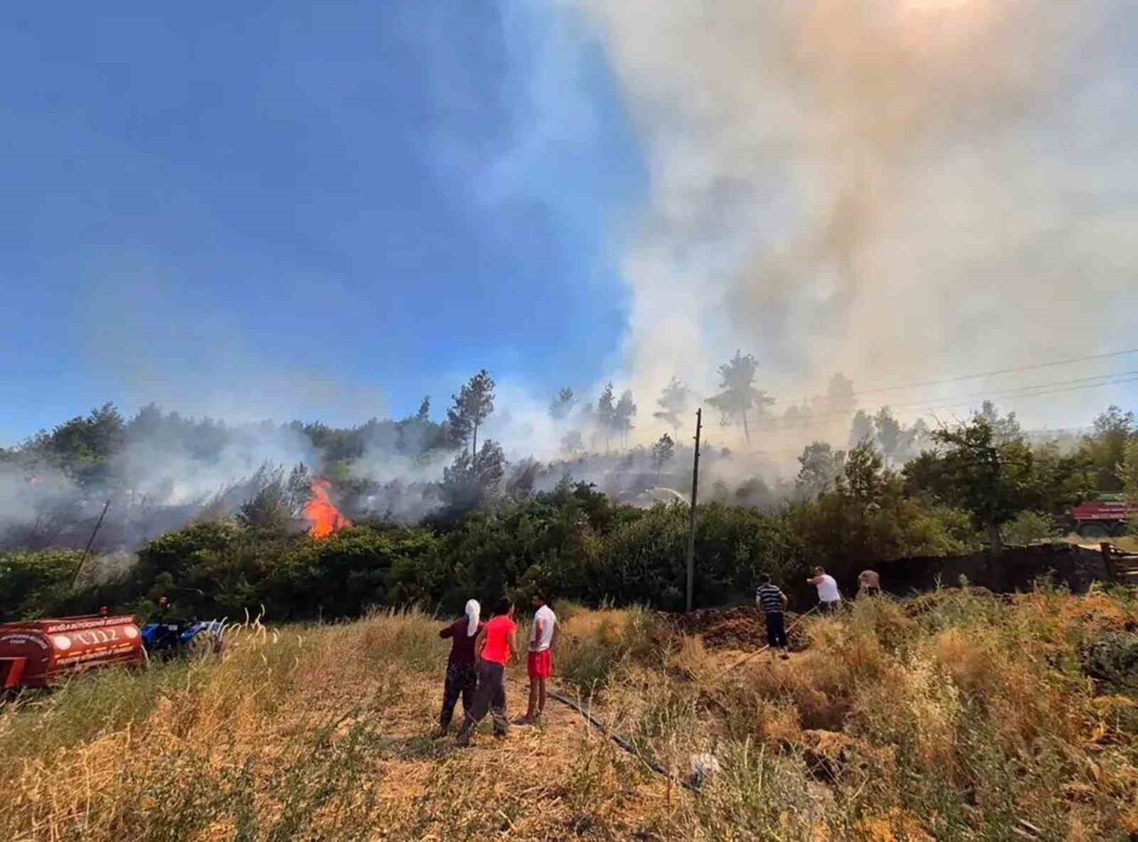 Tarım ve Orman Bakanlığı verilerine göre son on yılda en