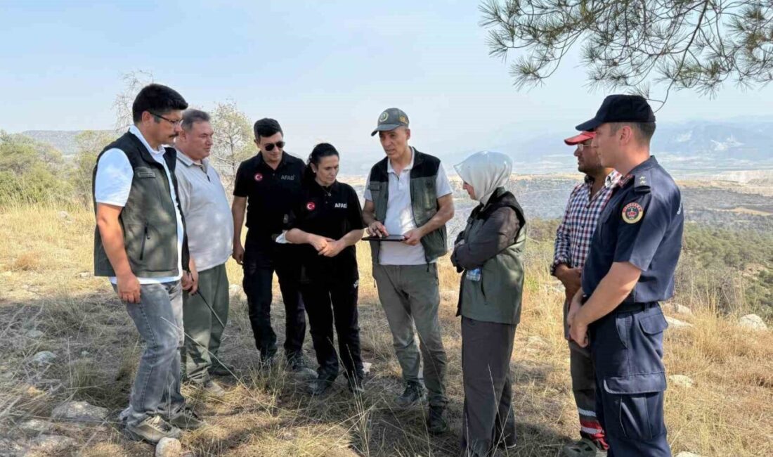Denizli’nin Çal ilçesinde meydana gelen orman yangını havadan ve karadan