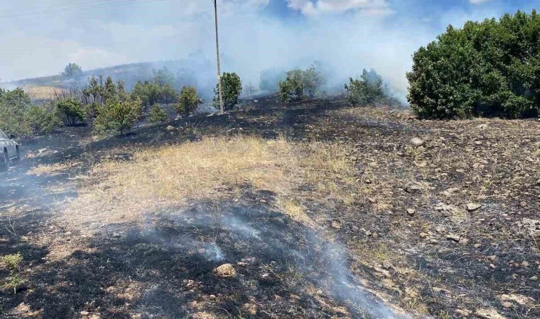 Bingöl’ün Kığı ilçesinde çıkan örtü yangını ekiplerin müdahalesi ile söndürüldü.