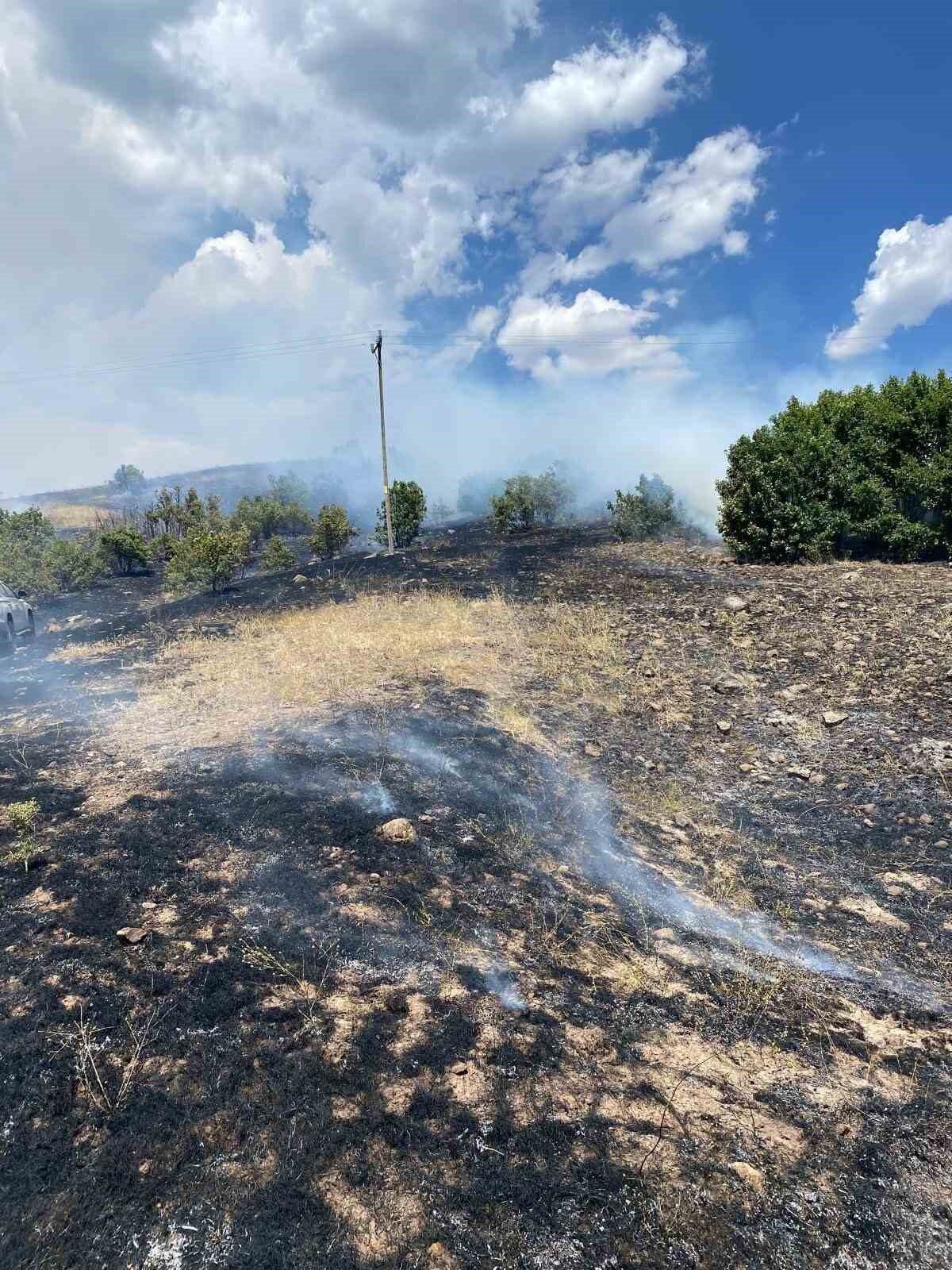 Bingöl’ün Kığı ilçesinde çıkan örtü yangını ekiplerin müdahalesi ile söndürüldü.
