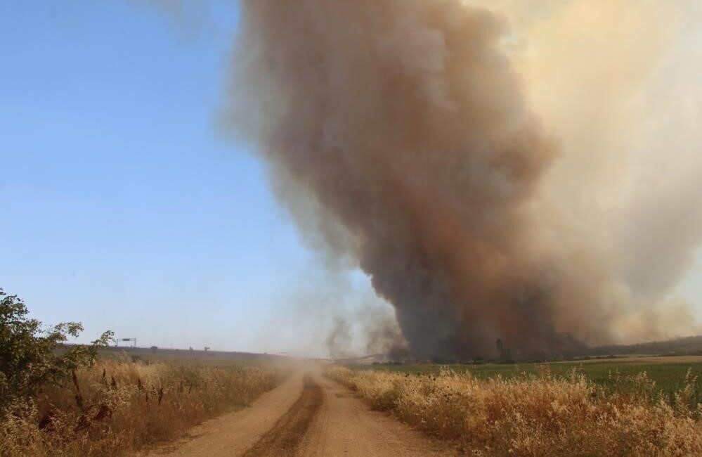 Tekirdağ Şarköy yangını, Çanakkale’nin Gelibolu ilçesi Kavakköy istikametinde yer yer