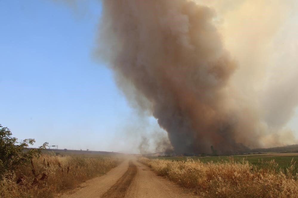 Tekirdağ Şarköy yangını, Çanakkale’nin Gelibolu ilçesi Kavakköy istikametinde yer yer