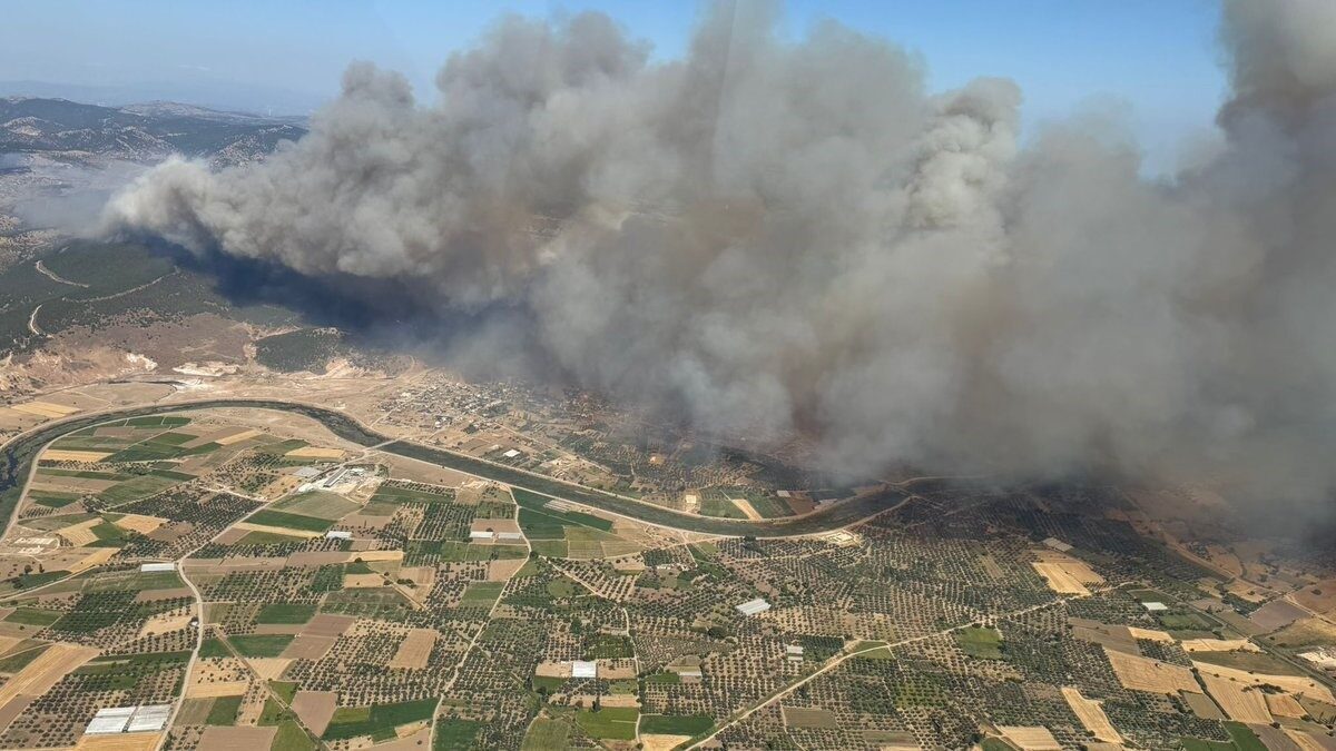 Çanakkale’nin Ayvacık ilçesinde ormanlık alanda başlayan yangın, rüzgarın da etkisiyle