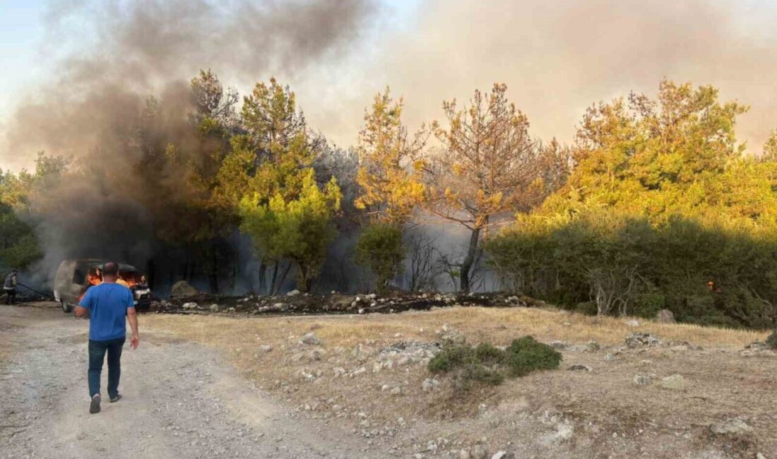 Çanakkale’nin Ayvacık ilçesinde arızalanan park halindeki midibüste çıkan yangın ormana