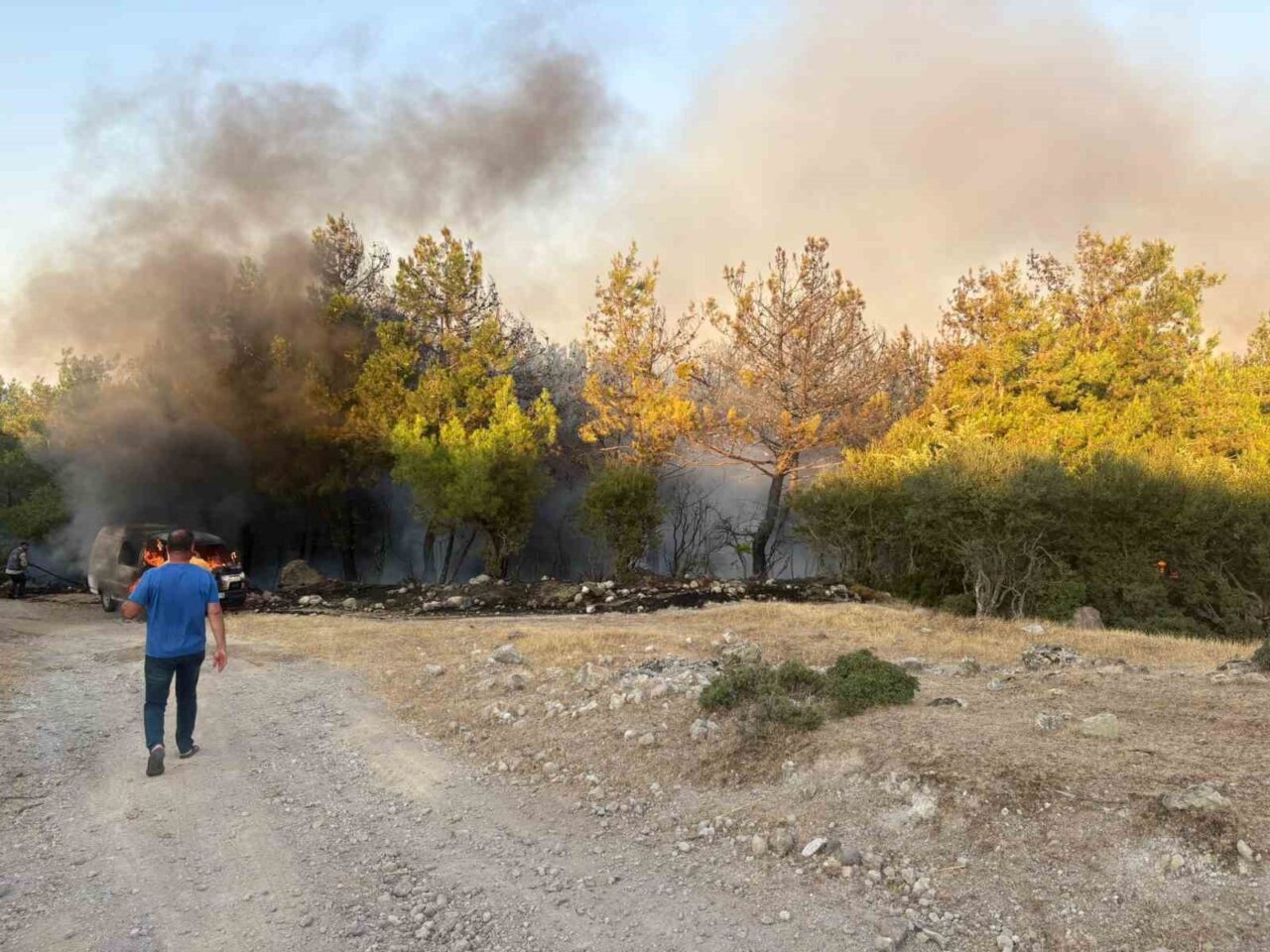 Çanakkale’nin Ayvacık ilçesinde arızalanan park halindeki midibüste çıkan yangın ormana