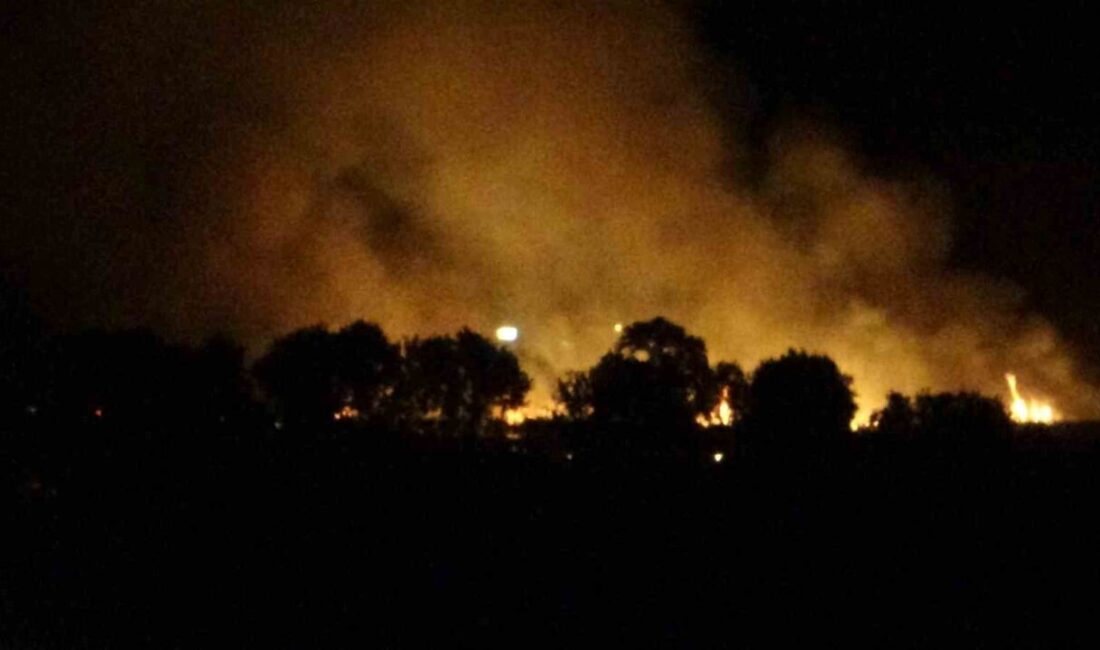 Çanakkale merkeze bağlı Özbek köyü yakınlarında tarım arazisinde çıkan yangın,