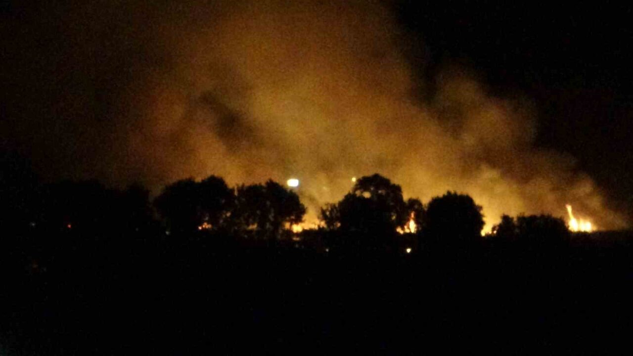 Çanakkale merkeze bağlı Özbek köyü yakınlarında tarım arazisinde çıkan yangın,